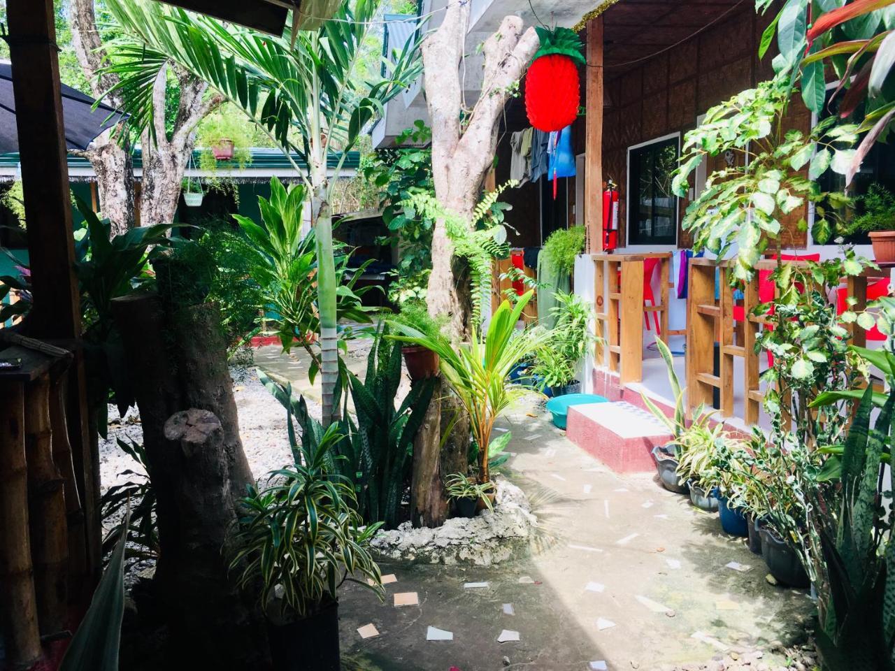Domos Native Guest House Panglao-stad Buitenkant foto